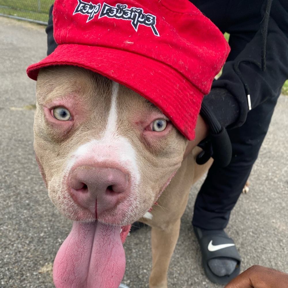 Meet your Posher, Rr